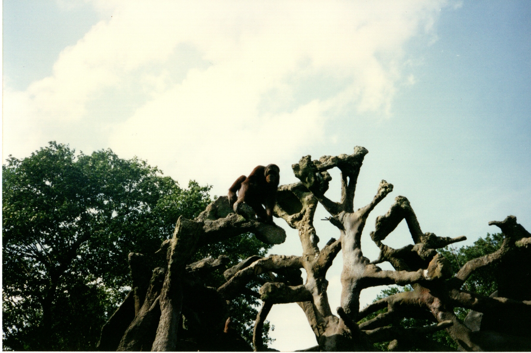 ./1997/11 - November/img05232020_299.jpg